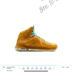 Lebron 10 ext